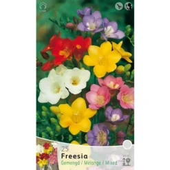 FREESIA SINGLE MIX (PACK DE 25 AMPOULES)