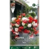 BEGONIA ODORATA COLOR MIX (LOT DE 3 AMPOULES) -Flore Riche Soldes Magasin 95152628 1