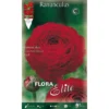 RANUNCOLO ROUGE ASIATIQUE (LOT DE 10 AMPOULES) -Flore Riche Soldes Magasin 95152778 1