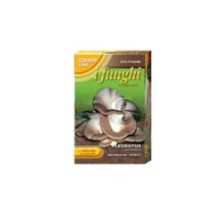 MYCÉLIUM SÉCHÉ DE CHAMPIGNON PLEUROTUS PACK DE 100 GR.