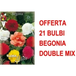 OFFRE 21 BÉGONIA BULBES DOUBLE MIX