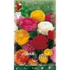 RENONCULES ASIATIQUE MIXTE (LOT DE 10 BULBES) -Flore Riche Soldes Magasin 95160612 1