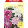 LILIUM FLEUR ORIENTAL DOUBLE MIX DE COULEURS (LOT DE 5 BULBES) -Flore Riche Soldes Magasin 95162381 1