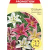 LILIUM ORIENTAL MÉLANGE DE COULEURS (LOT DE 10 BULBES) -Flore Riche Soldes Magasin 95162400 1