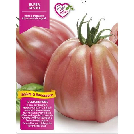 3 PLANTS EN POT Ø 10CM DE TOMATE CŒUR DE BOEUF ROSE LIGURE 3 3 PLANTS EN POT Ø 10CM DE TOMATE CŒUR DE BOEUF ROSE LIGURE