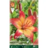Lilium Asiatic HeartStings (paquet De 2 Ampoules) -Flore Riche Soldes Magasin 95163125 1