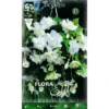 BÉGONIA PENDULA BLANC (LOT DE 3 BULBES) -Flore Riche Soldes Magasin 95164846 1