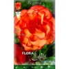 BÉGONIA PENDULE JAUNE-ROUGE (LOT DE 3 BULBES) -Flore Riche Soldes Magasin 95165988 1