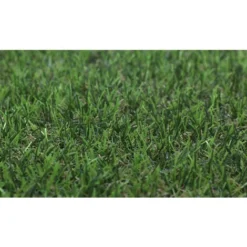 Gazon Artificiel MEDITERRANEAN Artificial Grass Hauteur 20mm Rouleau 1x5M - 5m2 -Flore Riche Soldes Magasin 95363386 4