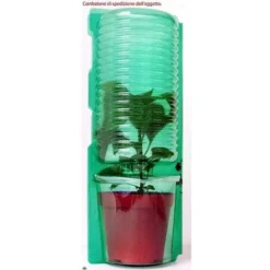 PLANT DE TOMATE DATTERINO GREFFÉ (EN POT Ø14CM)