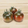 3 PLANTES EN POT Ø10CM DE TOMATE NOIRE TYPE CAMONE SARDO FIFTH TASTE -Flore Riche Soldes Magasin 95364094 1